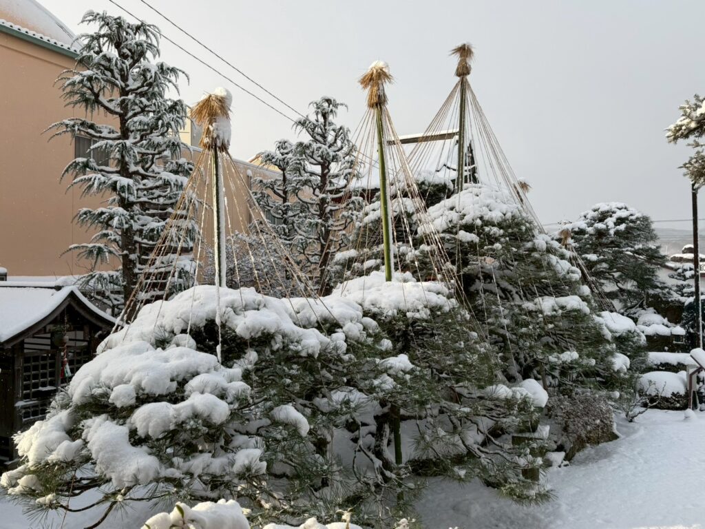 line album 2025.12.4 スマホ撮影 251205 1