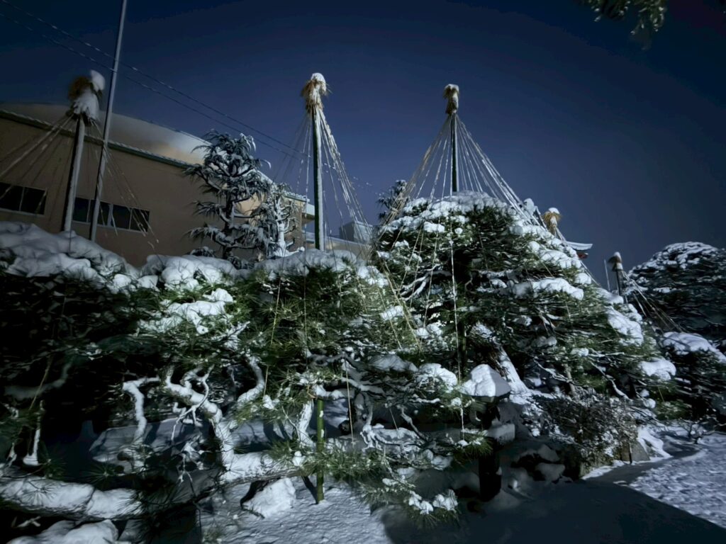 line album 2025.12.4 スマホ撮影 251205 10