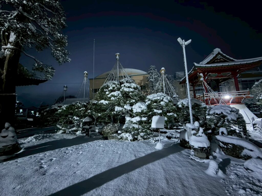 line album 2025.12.4 スマホ撮影 251205 11