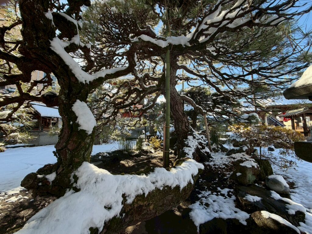 line album 2025.12.4 スマホ撮影 251205 17