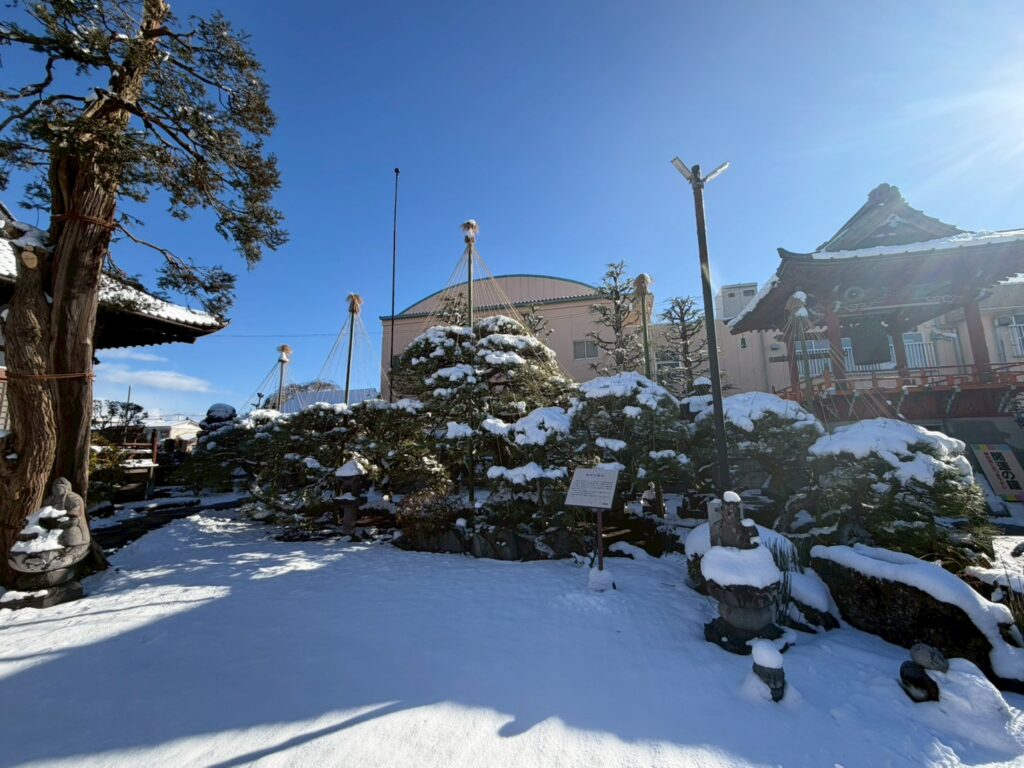 line album 2025.12.4 スマホ撮影 251205 18