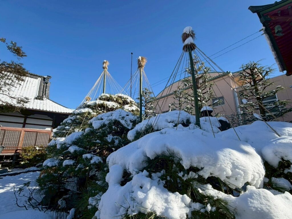 line album 2025.12.4 スマホ撮影 251205 47